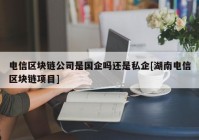 电信区块链公司是国企吗还是私企[湖南电信区块链项目]