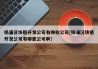 杨浦区块链开发公司有哪些公司[杨浦区块链开发公司有哪些公司啊]